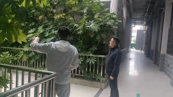 球盟会官网入口